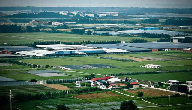 适用边界:企业信息化方案在维护中的性能影响因素